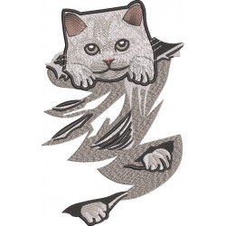 Cat In A Scratched Pocket