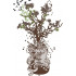 Nature Guitar Art
