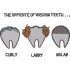 The Wisdom Of Opposite Teeth