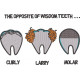 The Wisdom Of Opposite Teeth The Wisdom Of Opposite Teeth