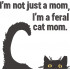 I Am A Feral Cat Mom