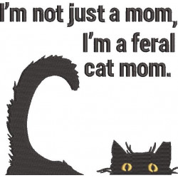 I Am A Feral Cat Mom