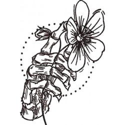 Skull Hand