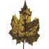Maple Leaf Art