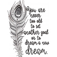 Never Too Old Quote