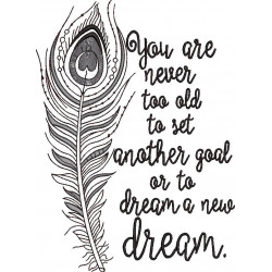 Never Too Old Quote