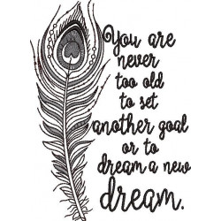 Never Too Old Quote