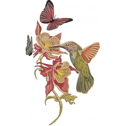 Hummingbird, Butterflies And Flowers