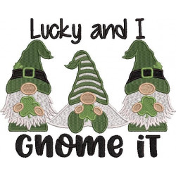 Lucky And I Gnome It