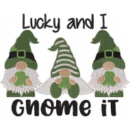 Lucky And I Gnome It