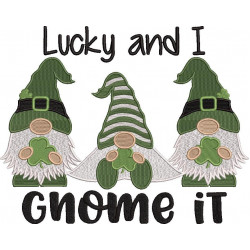 Lucky And I Gnome It