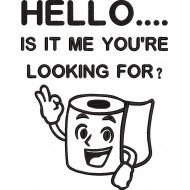 Hello Is It Me You Are Looking For