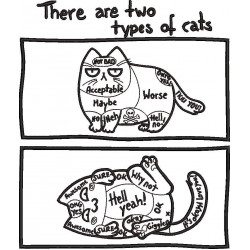 There Are Two Types Of Cats