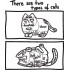 There Are Two Types Of Cats