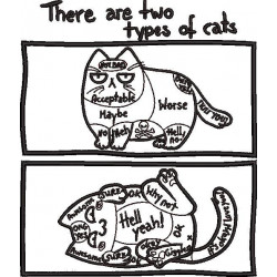 There Are Two Types Of Cats