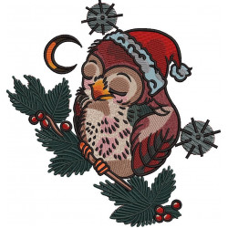 Cute Christmas Owl