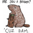 Are You A Beaver Funny Squirrel Quote