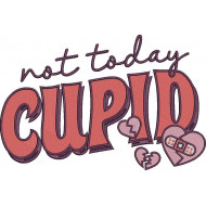 Not Today Cupid