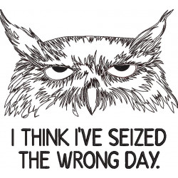 Seized the Wrong Day Grumpy Owl 