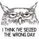 Seized the Wrong Day Grumpy Owl Seized the Wrong Day Grumpy Owl