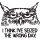 Seized the Wrong Day Grumpy Owl Seized the Wrong Day Grumpy Owl