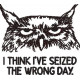 Seized the Wrong Day Grumpy Owl Seized the Wrong Day Grumpy Owl