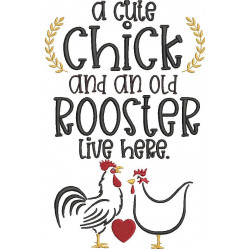 Cute Chicken And An Old Rooster