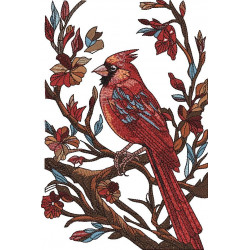 Cardinal in Nature