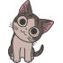 Big Eyed Cat