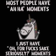 AH Ha Moments Funny Unicorn Quote