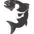 Fish And Fisherman Silhouette