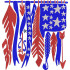 American Feather Flag