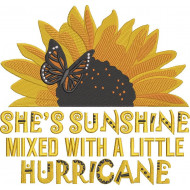 Shes Sunshin Mixed With A Little Hurricane