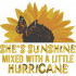 Shes Sunshin Mixed With A Little Hurricane