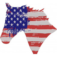 USA Flag Horse
