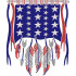 USA American Flag