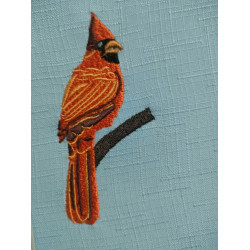 Northern Cardinal Bird
