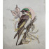 Traditional Sparrow Art