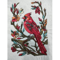 Cardinal in Nature