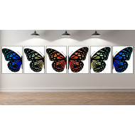 Butterfly Series Wall Art Printable 2