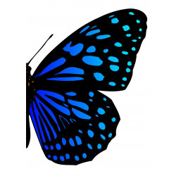Butterfly Series Wall Art Printable 2
