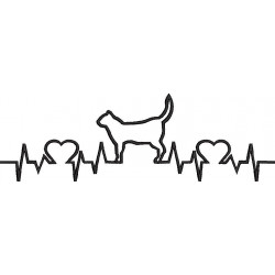Cat Heart Beat Collection 