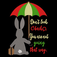 Don't look Back