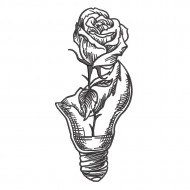 Broken Rose Design