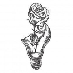 Broken Rose Design