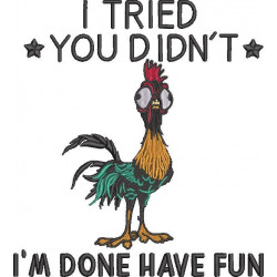 I Tried You Did Not