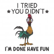 I Tried You Did Not