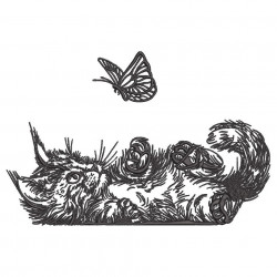 Cat Is Playing With A Butterfly