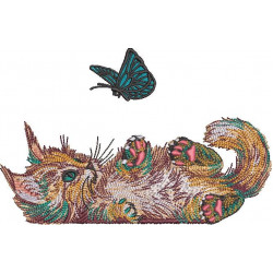 Colorful Cat Is Playing With A Butterfly