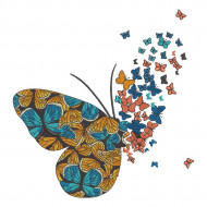 Colorful Butterflies Flying